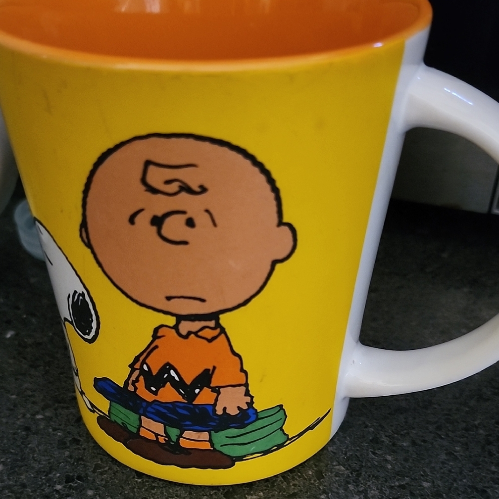 Charlie Brown and Snoopy Mug Peanuts